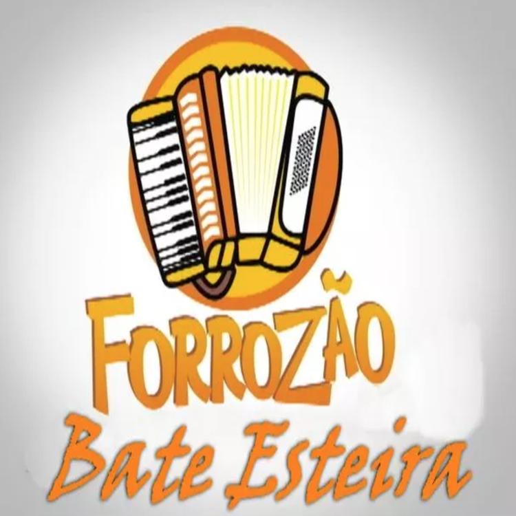 Forrozão Bate Esteira's avatar image