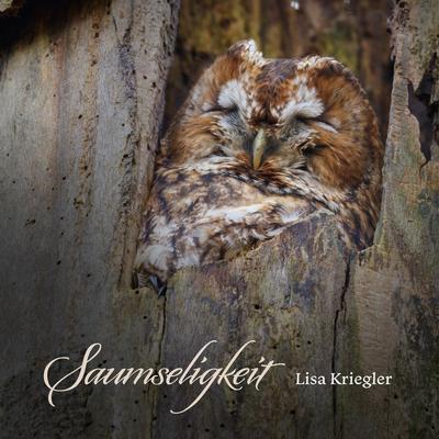 Saumseligkeit By Lisa Kriegler's cover