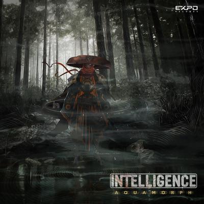 Aquamorph By Intelligence's cover