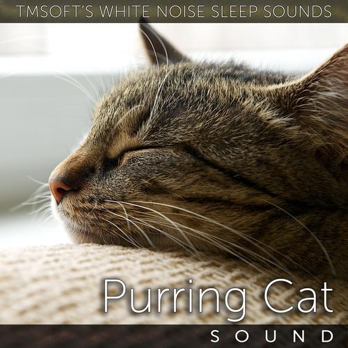 Purring Cat Sound gato's cover