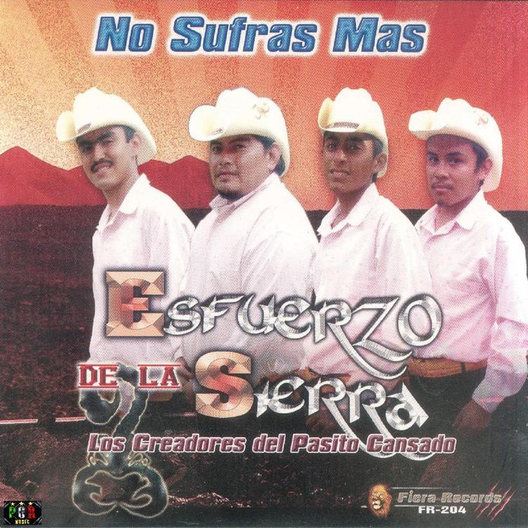 Esfuerzo De La Sierra's avatar image