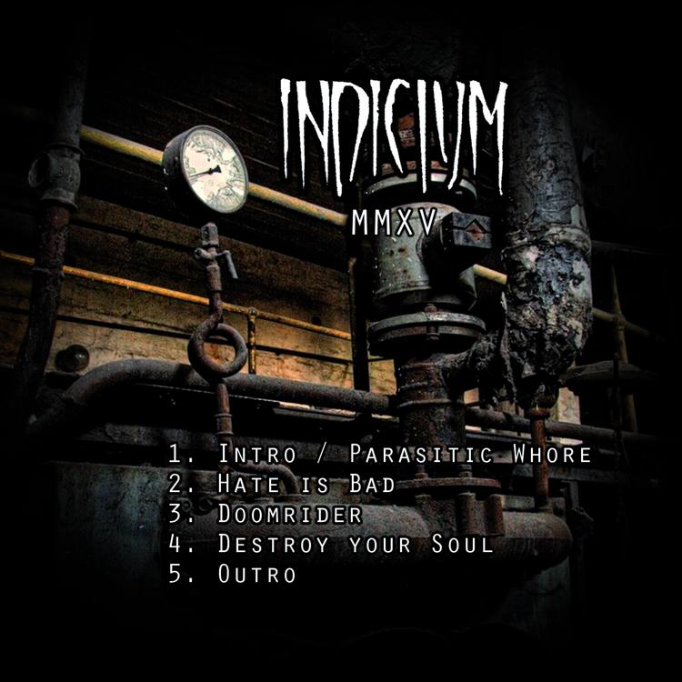 Indicium's avatar image