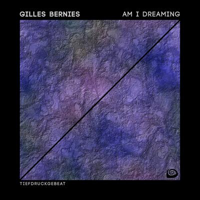 Am I Dreaming By Gilles Bernies's cover