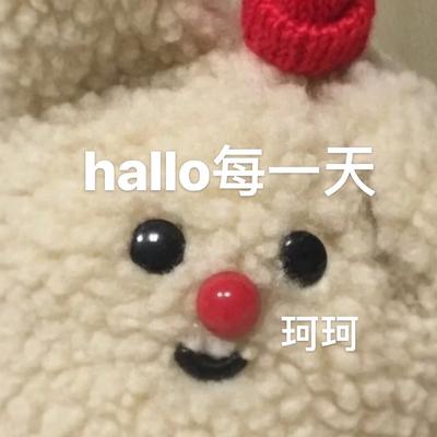 hallo每一天 (混音新版)'s cover