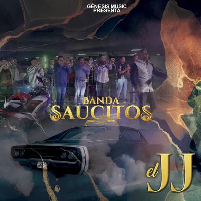 Banda Saucitos's cover