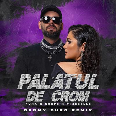 Palatul De Crom (Danny Burg Remix)'s cover