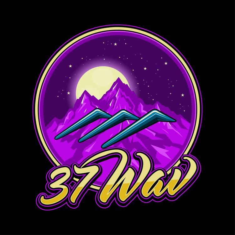 37wav Radio's avatar image