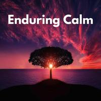 Enduring Calm | TikTok Music Search