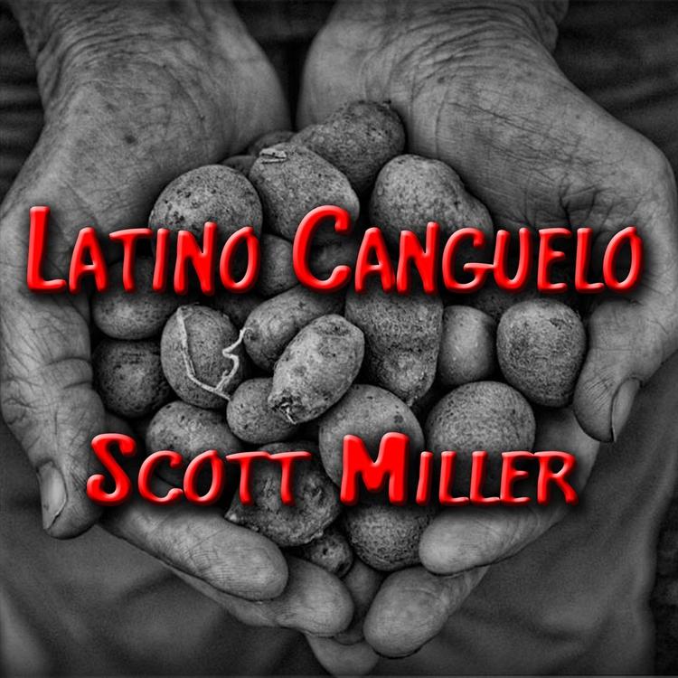 Scott Miller's avatar image