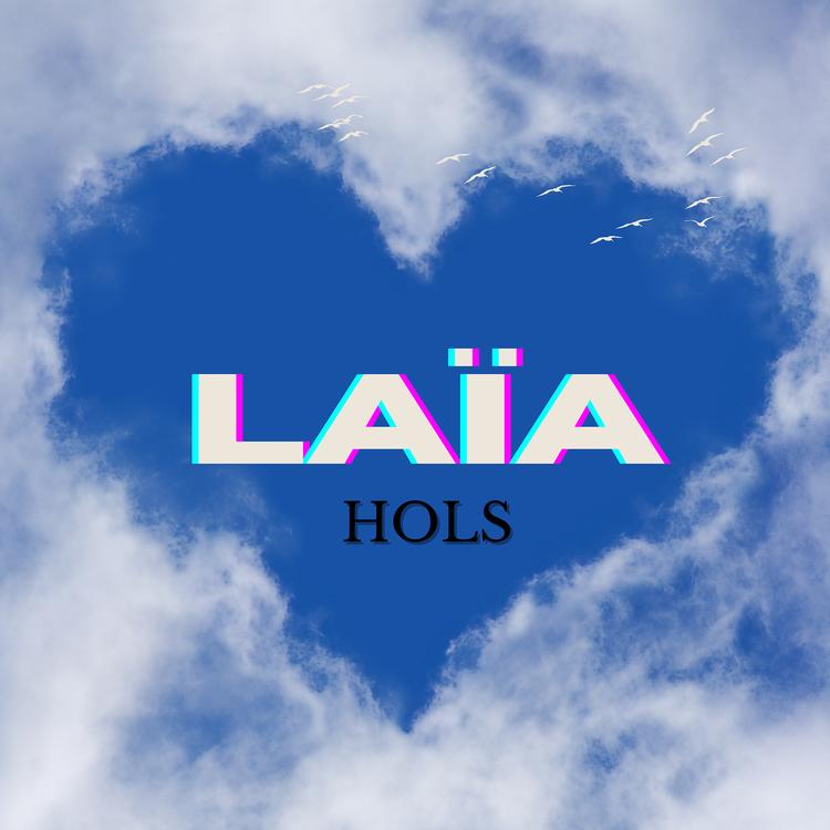 Höls's avatar image