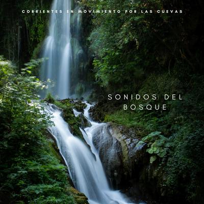 Sonidos Del Bosque: Corrientes En Movimiento Por Las Cuevas's cover