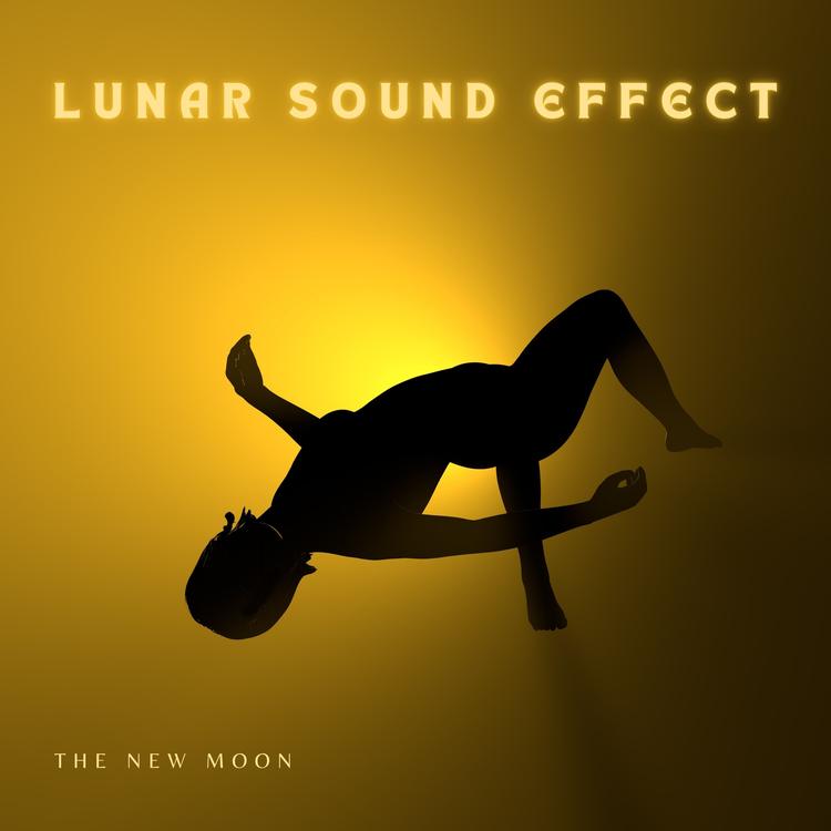 Lunar Sound Effect's avatar image