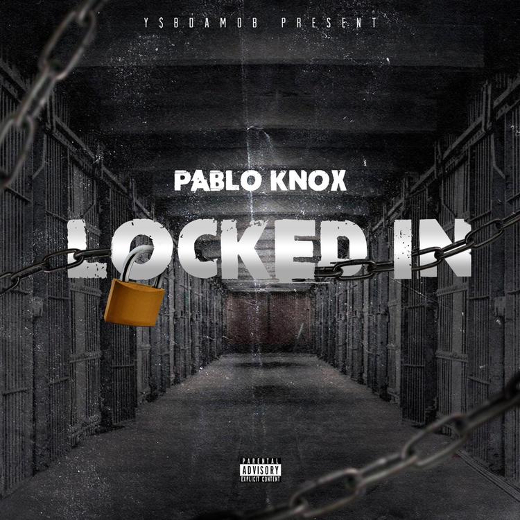 Pablo Knox's avatar image