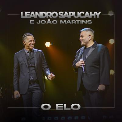 O Elo (Ao Vivo) By Leandro Sapucahy, João Martins's cover