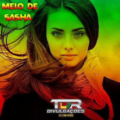 Melô De Sasha (Reggae Remix) By TDR DIVULGAÇÕES's cover