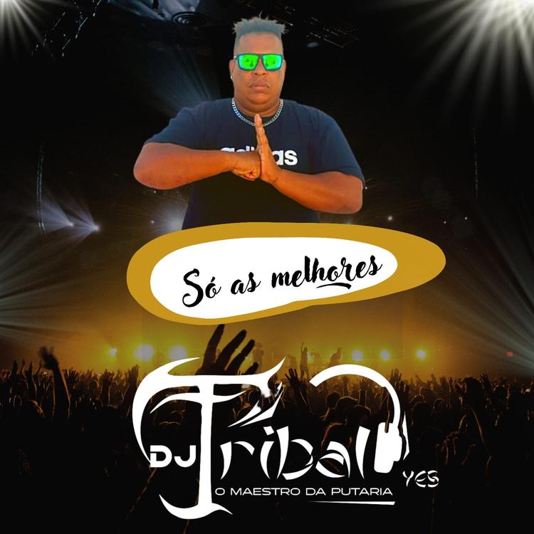 DJ Tribal's avatar image