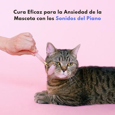 Cura Eficaz Para La Ansiedad De La Mascota Con Los Sonidos Del Piano's cover