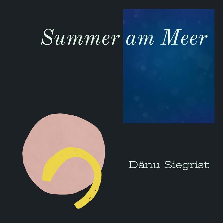 Dänu Siegrist's avatar image