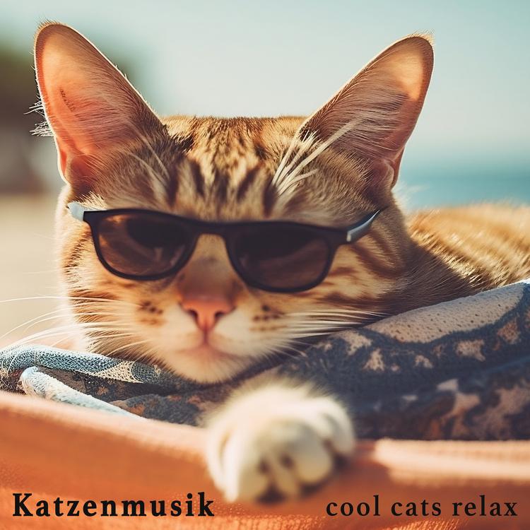 Katzenmusik's avatar image