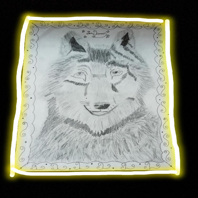Sam Lioness's avatar image
