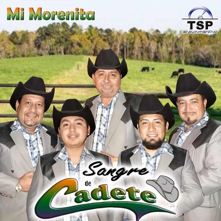 Sangre De Cadete's avatar image