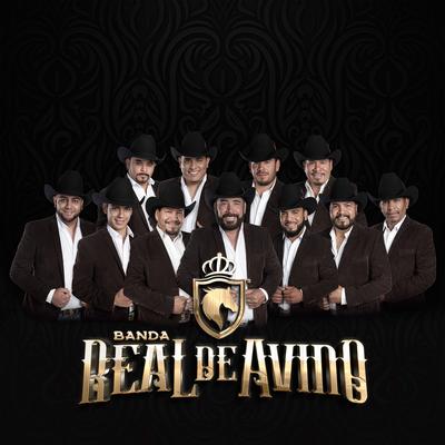 BANDA REAL DE AVINO's cover