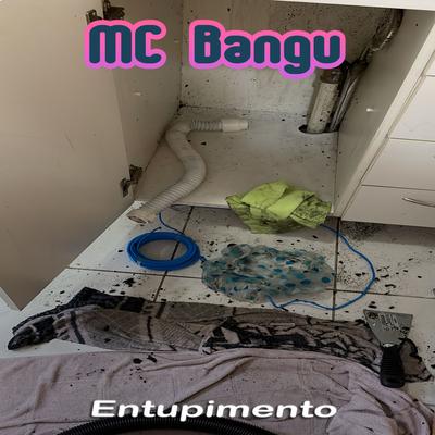 Entupimento's cover