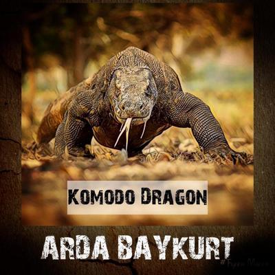 Arda Baykurt's cover