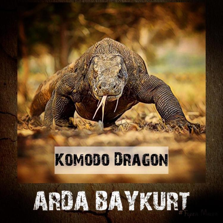 Arda Baykurt's avatar image