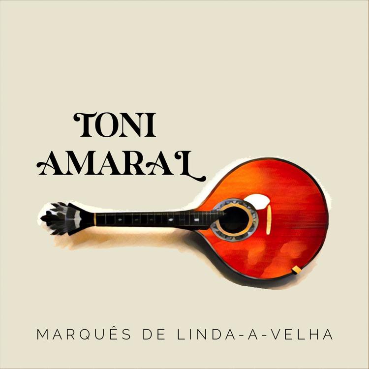 Toni Amaral's avatar image