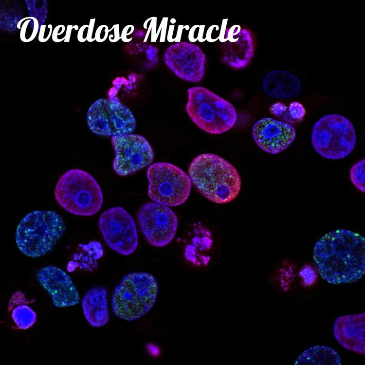 Overdose Miracle's avatar image