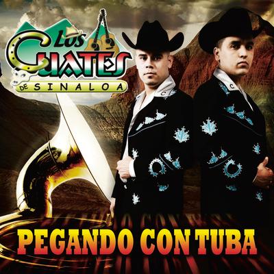 El Chango Descalabrado (Album Version)'s cover