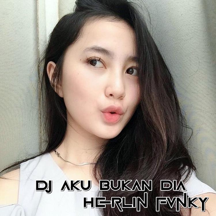 Herlin Fvnky's avatar image