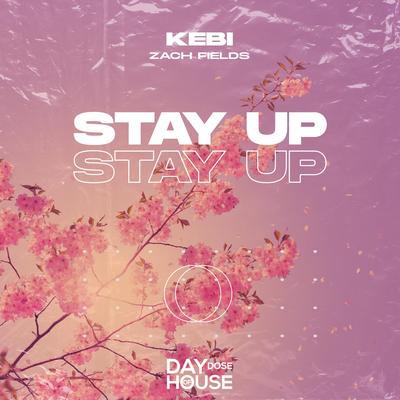 Stay Up (Never Come Down) By Kebi, Zach Fields's cover