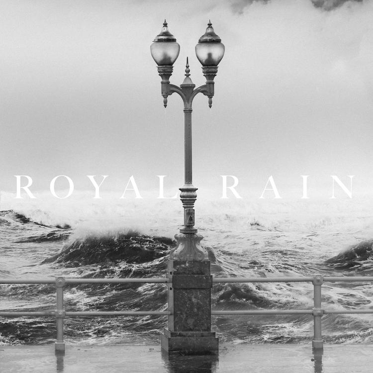 Royal Rain's avatar image