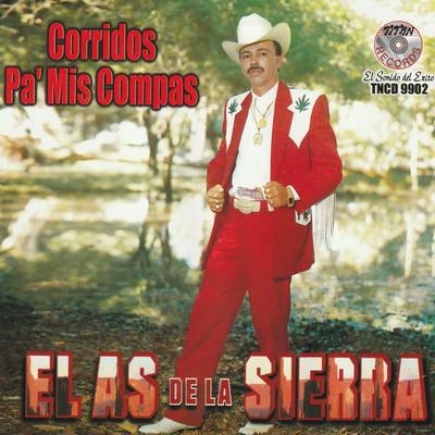 Corridos Pa´ Mis Compas (feat. Banda Titanes Sinaloenses)'s cover