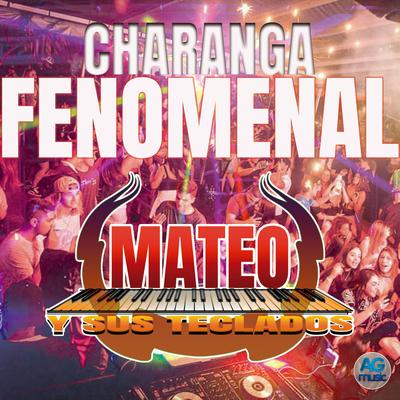 Charanga Fenomenal's cover