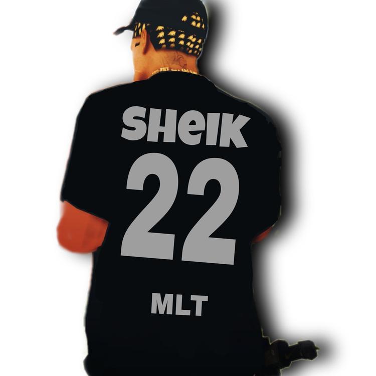 sheik 22's avatar image