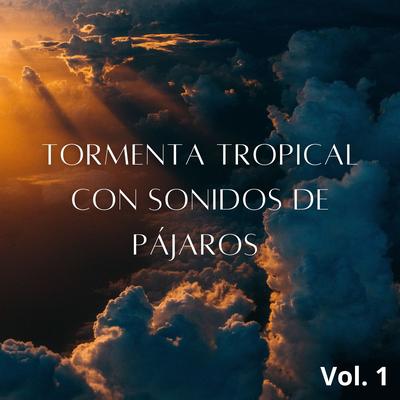 Sonido De Tormenta Del Bosque By Tormenta Jamaicana, Sonidos De Pajaros, Relajacion Total's cover