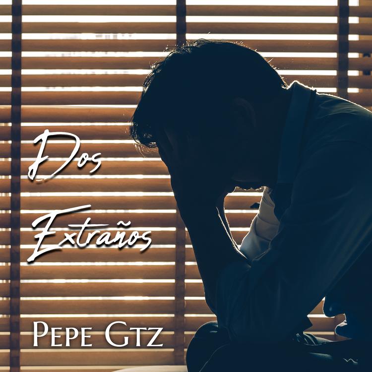 Pepe Gtz's avatar image