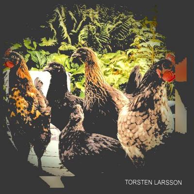 TORSTEN LARSSON's cover