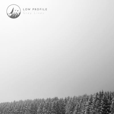 Grey Lines By Low Profile's cover