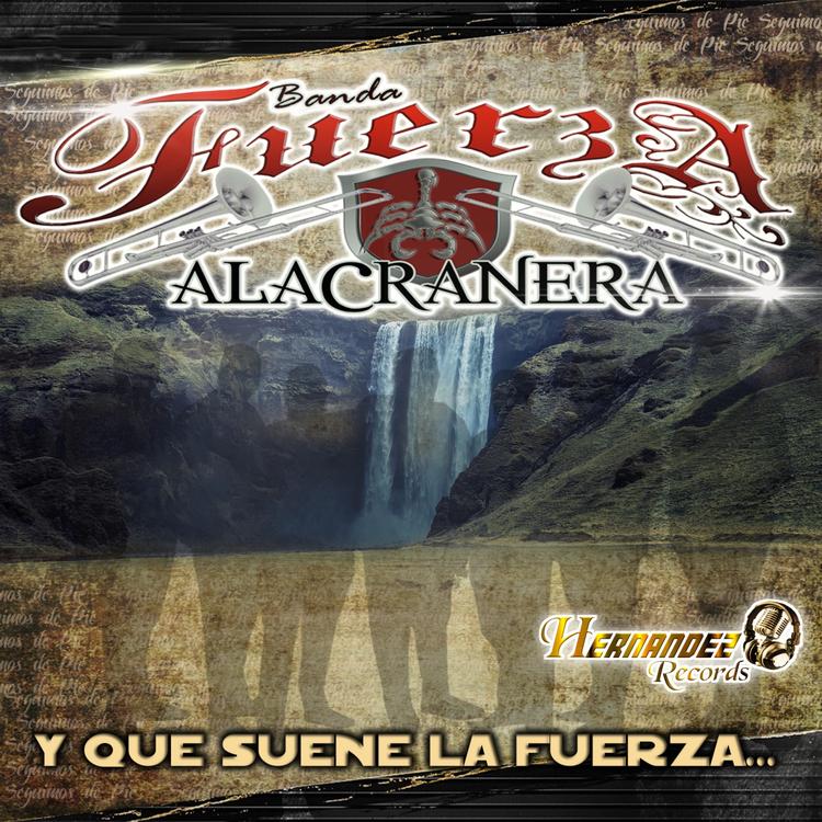 Banda Fuerza Alacranera's avatar image