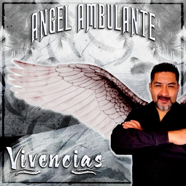 Ángel Ambulante's avatar image