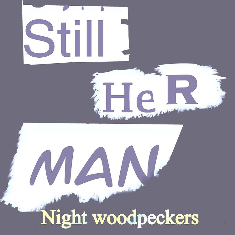 Night Woodpeckers's avatar image