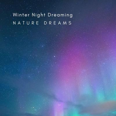 Winter Night Dreaming By Nature Dreams's cover