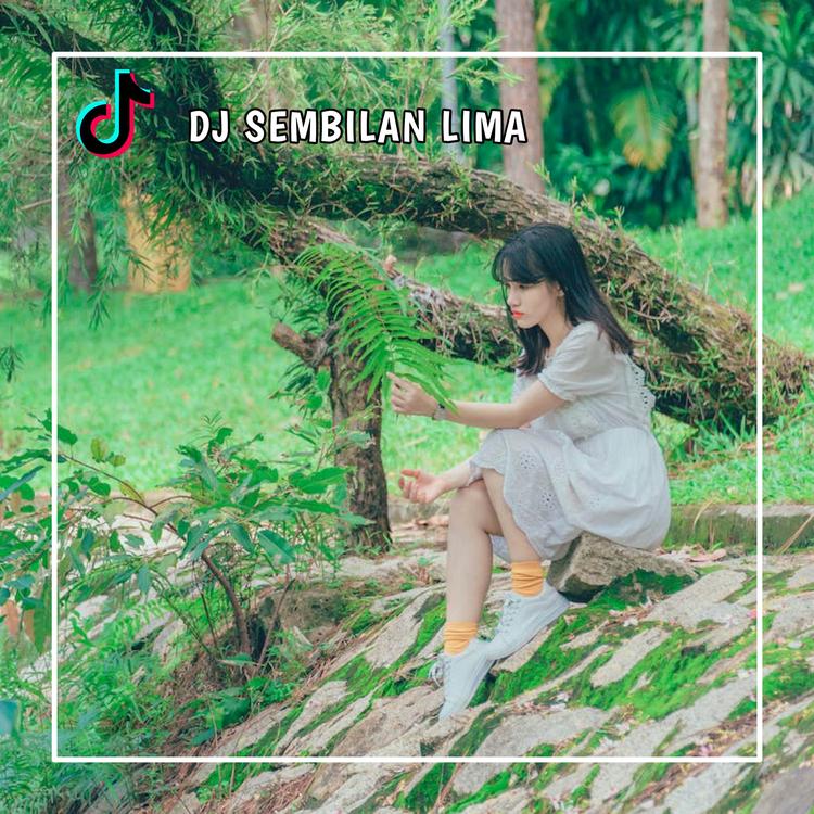 DJ SEMBILAN LIMA's avatar image