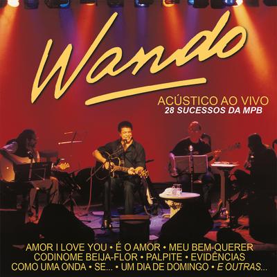 Papel maché (Ao vivo) By Wando's cover