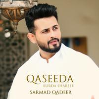 Sarmad Qadeer's avatar cover