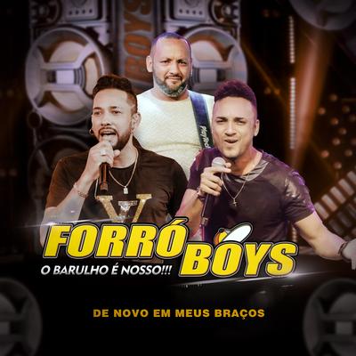 De Novo em Meus Braços (O Barulho é Nosso!!!) By Forró Boys's cover
